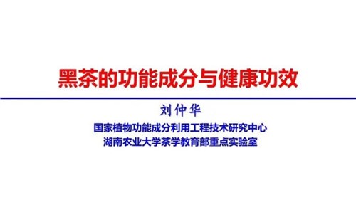 茶的功能成分與健康功效 | 茶、飲茶與健康