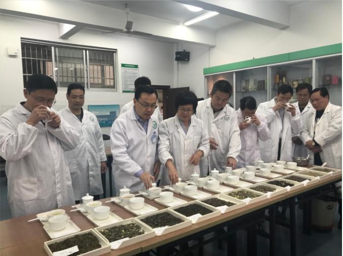 瀟湘茶業(yè)開展花茶審評和座談會，劉仲華院士等專家共謀花茶產(chǎn)業(yè)發(fā)展