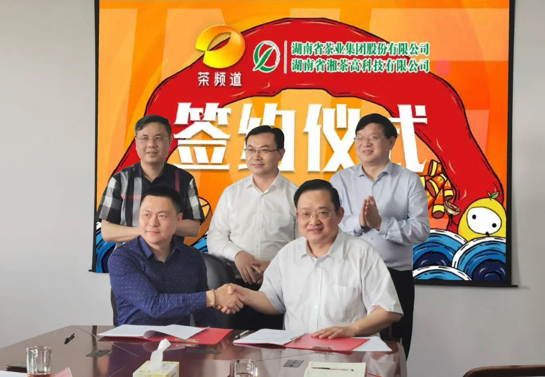 院士見證，輕輕茶發(fā)力品牌建設，與茶頻道達成深度合作