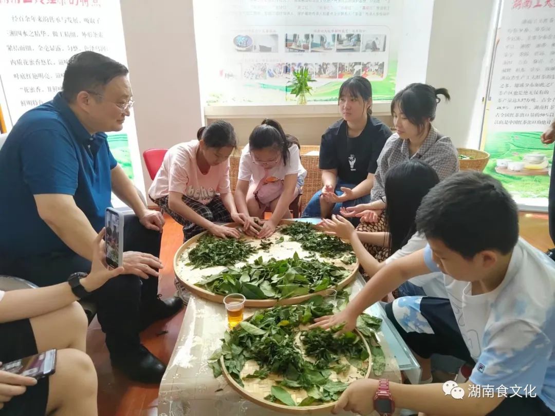 原載人民日報“人民視點”茶葉是怎樣做出來的？湖南大、中、小學(xué)生體驗湖南工夫紅茶制作